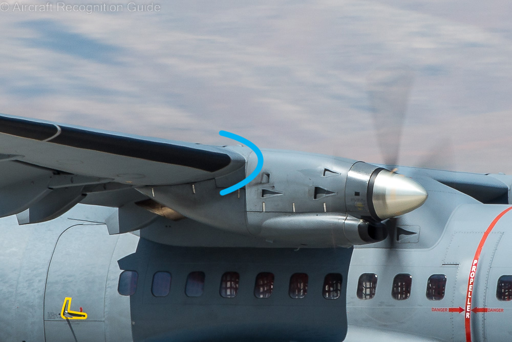 This detail shows the shape of the wing's leading edge close to the nacelle, to compare with the shape of later models described below. Image