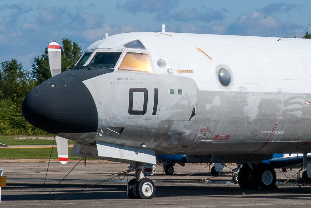 The nose of the Lockheed Orion is not as rounded as that of the Electra and has fewer cockpit windows, but still with one triangular eyebrow window. Image