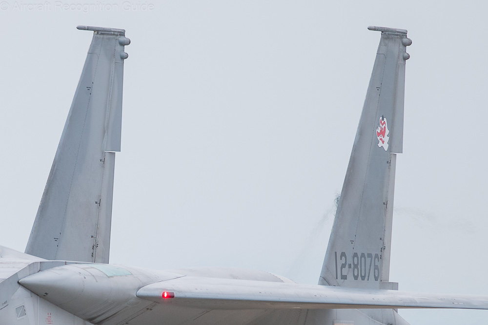 Here you can clearly see that the counterweights on both vertical stabilisers of the F-15DJ are equal in size, typical for all export F-15s. Image