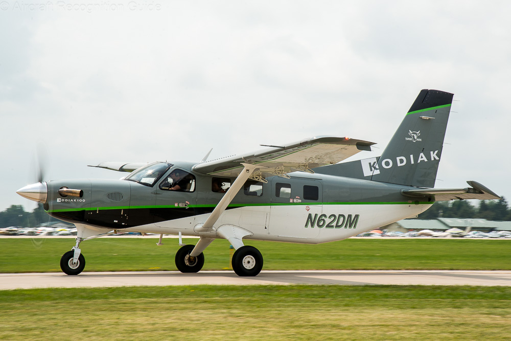 quest kodiak 100