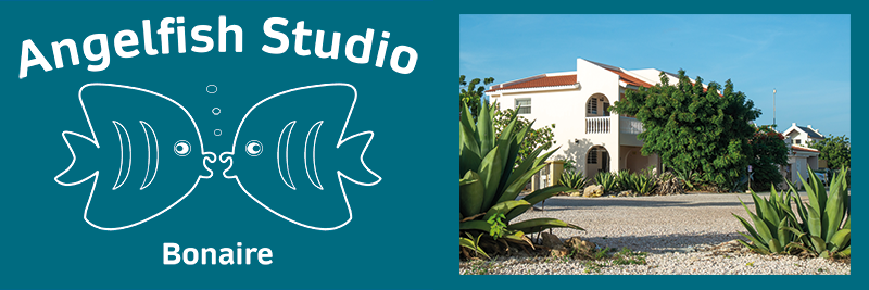 Angelfish Studio Bonaire Image