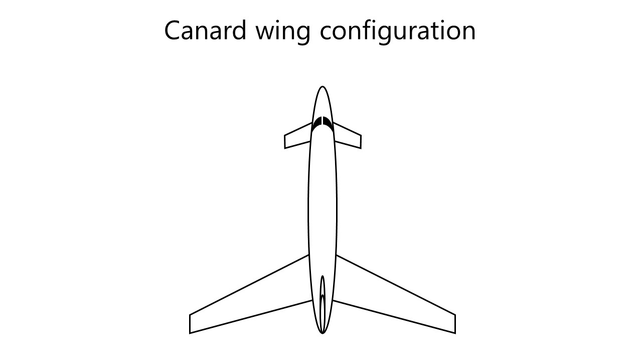 Ducks, called canard in French, have their wings close the rear. Hence, the configuration with stabilising surfaces at the front is called 'canard'. Image