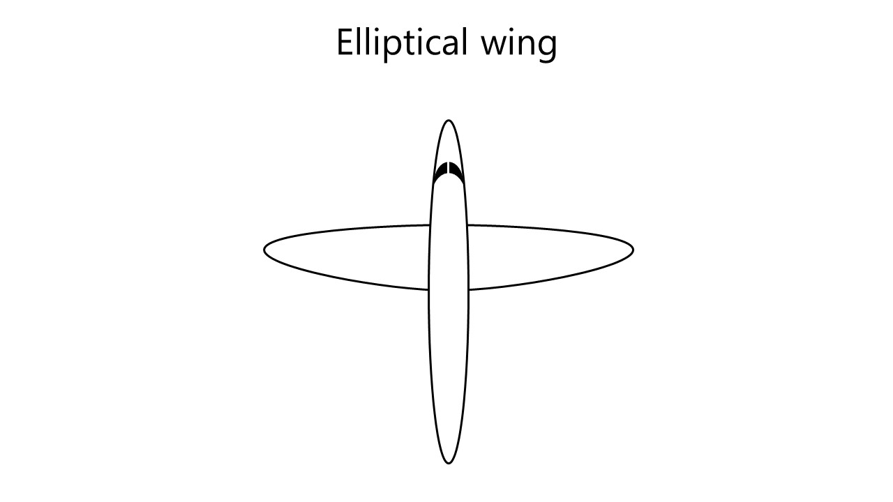 The trailing and/or leading edge of elliptical wings have the shape of an ellipse. Image
