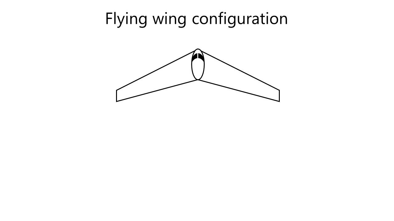 When there are no horizontal surfaces at all, except the wings, the configuration is called the 'flying wing'. Image